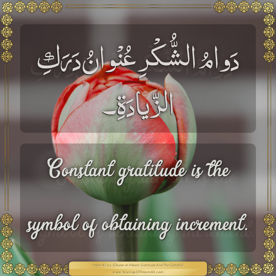 Constant gratitude is the symbol of obtaining increment.